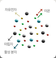 플라즈마